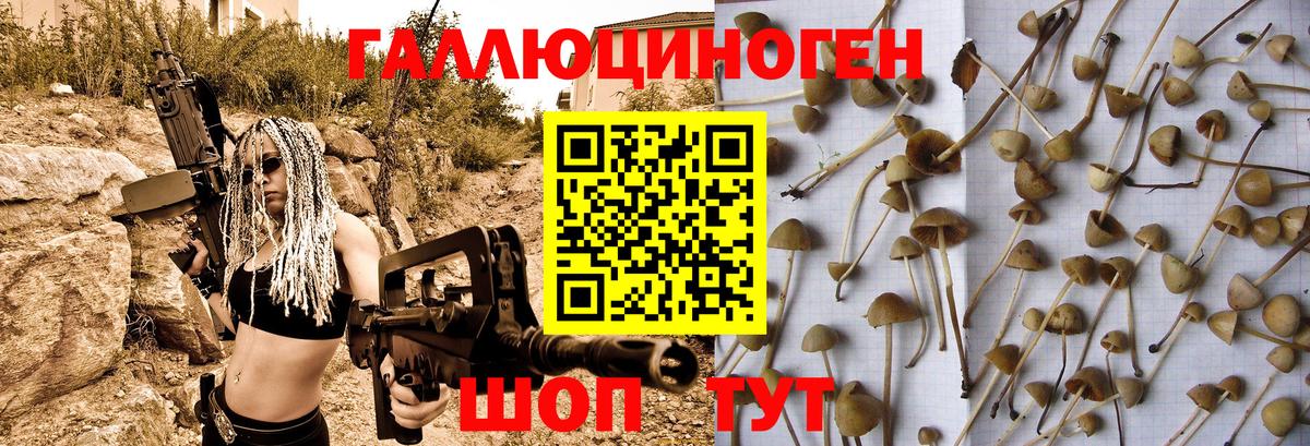 Псилоцибиновые грибы Magic Shrooms  Вход с VPN  Заводоуковск 