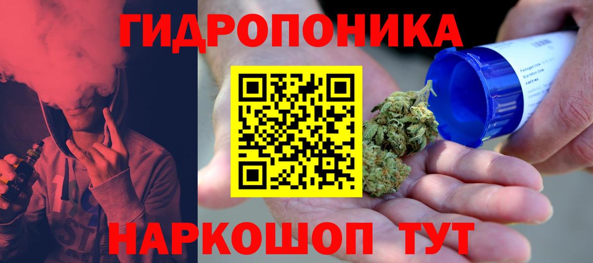 Бошки Шишки план Заводоуковск